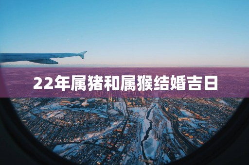 22年属猪和属猴结婚吉日