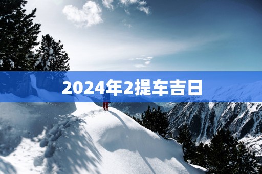 2025年2提车吉日