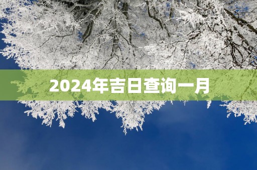 2025年吉日查询一月