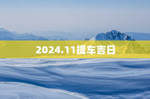 2025.11提车吉日