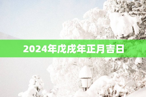 2025年戊戌年正月吉日