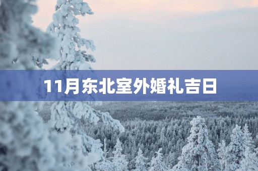 11月东北室外婚礼吉日