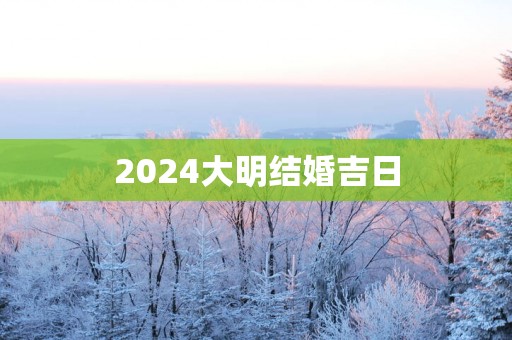 2025大明结婚吉日