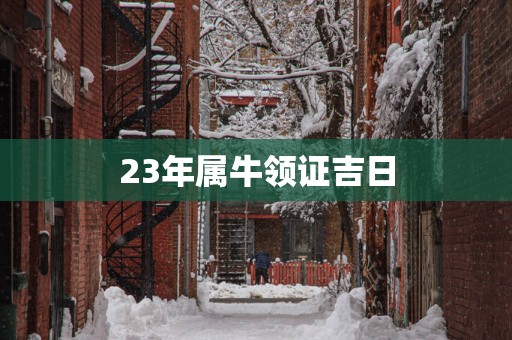 23年属牛领证吉日