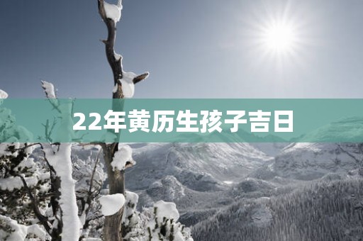 22年黄历生孩子吉日