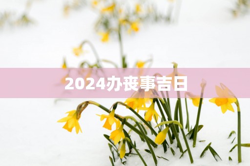 2025办丧事吉日
