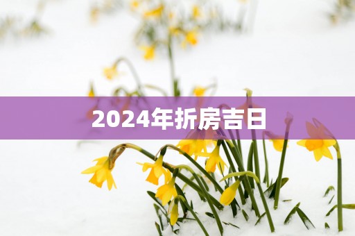 2025年折房吉日