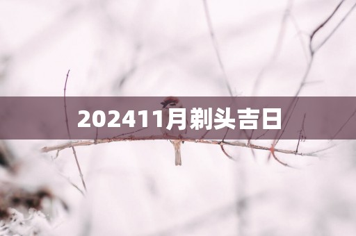202511月剃头吉日