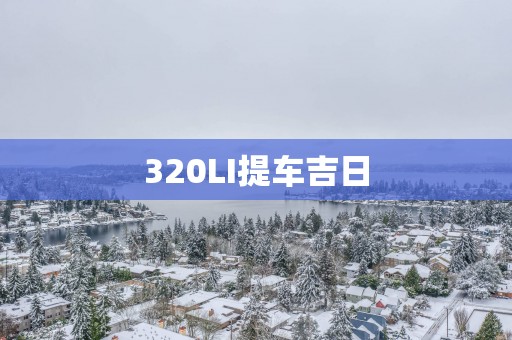 320LI提车吉日