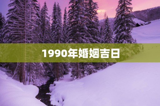 1990年婚姻吉日
