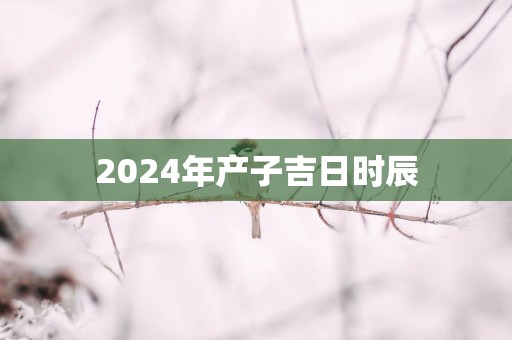 2025年产子吉日时辰