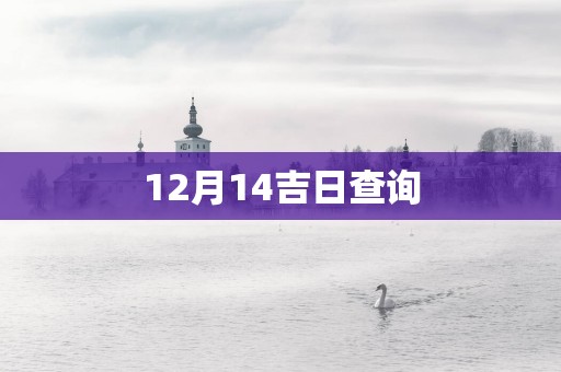12月14吉日查询