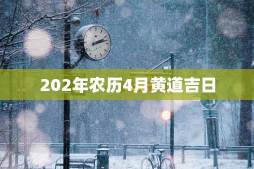 202年农历4月黄道吉日