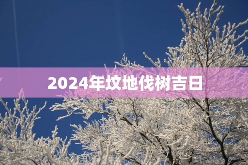 2025年坟地伐树吉日
