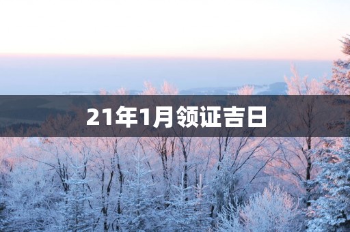 21年1月领证吉日