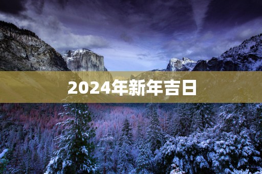 2025年新年吉日