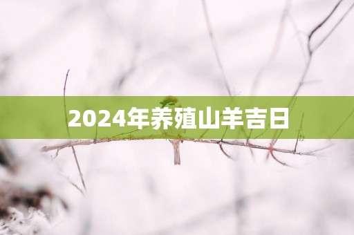 2025年养殖山羊吉日