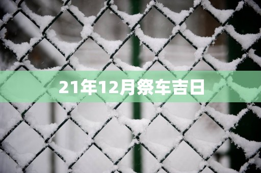 21年12月祭车吉日
