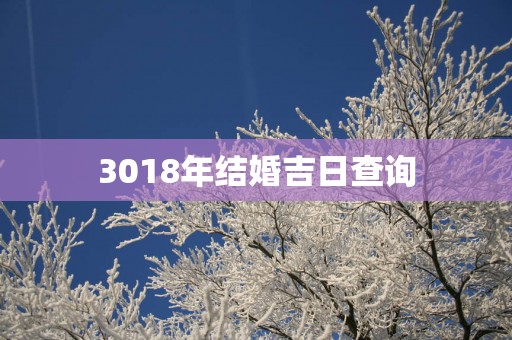 3018年结婚吉日查询