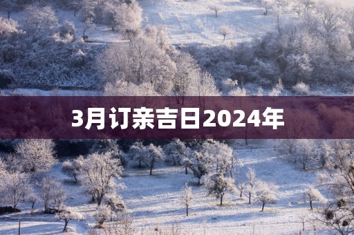 3月订亲吉日2025年