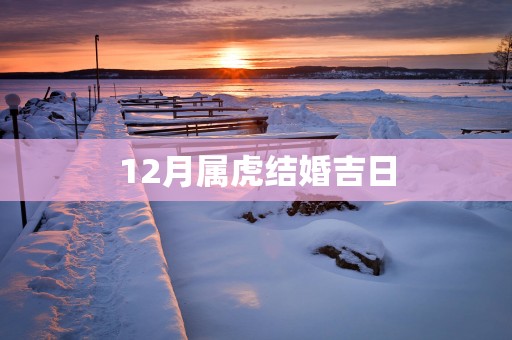 12月属虎结婚吉日