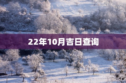22年10月吉日查询