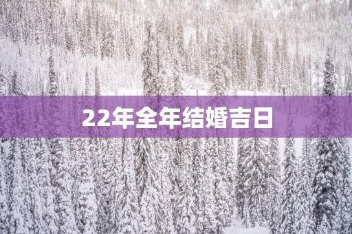 22年全年结婚吉日