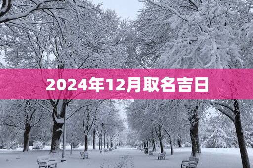 2025年12月取名吉日