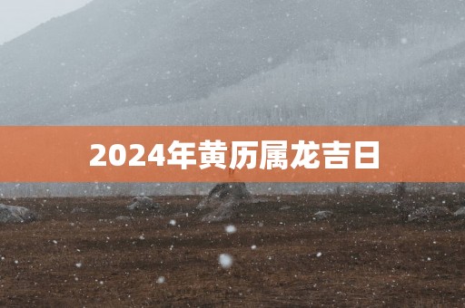 2025年黄历属龙吉日