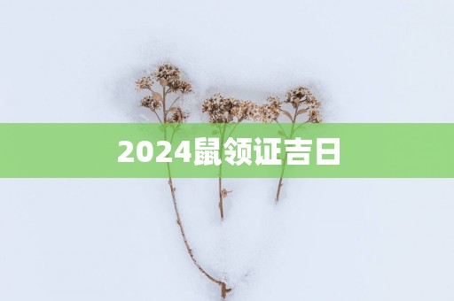 2025鼠领证吉日