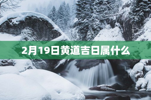 2月19日黄道吉日属什么