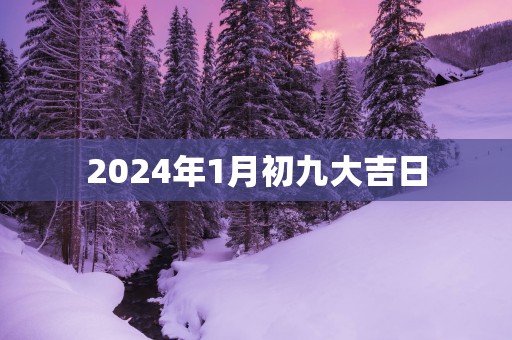 2025年1月初九大吉日