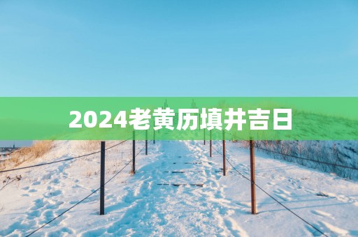2025老黄历填井吉日