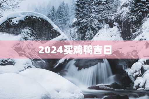 2025买鸡鸭吉日
