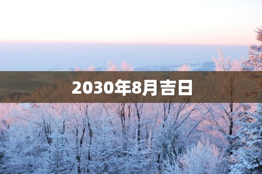 2030年8月吉日