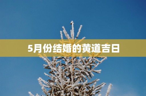 5月份结婚的黄道吉日