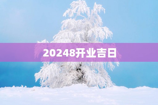 20258开业吉日