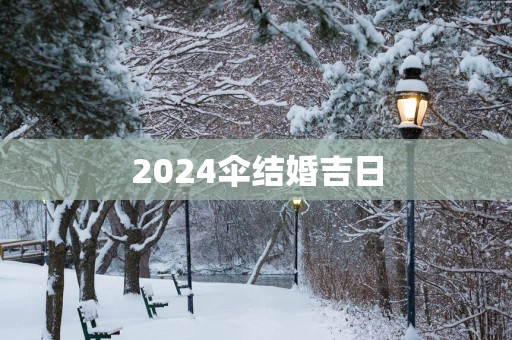 2025伞结婚吉日