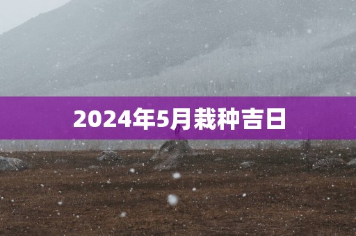 2025年5月栽种吉日