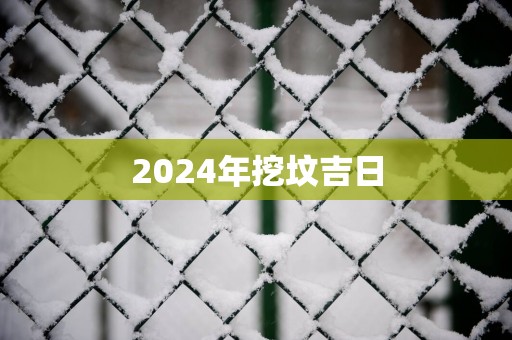 2025年挖坟吉日