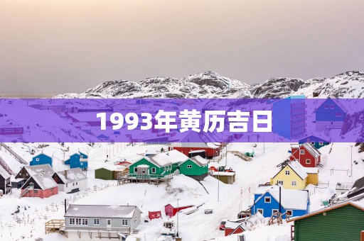 1993年黄历吉日