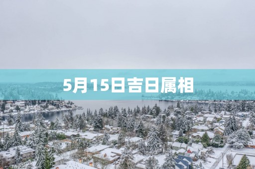5月15日吉日属相
