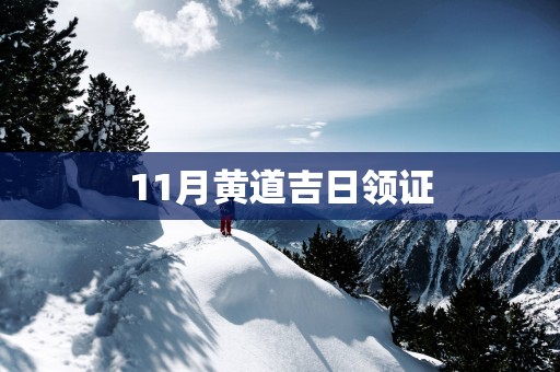 11月黄道吉日领证