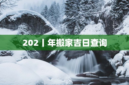 202丨年搬家吉日查询