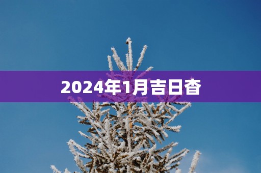 2025年1月吉日杳