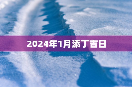 2025年1月添丁吉日