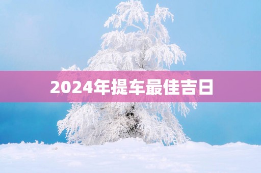 2025年提车最佳吉日