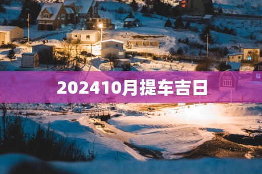 202510月提车吉日