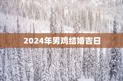 2025年男鸡结婚吉日