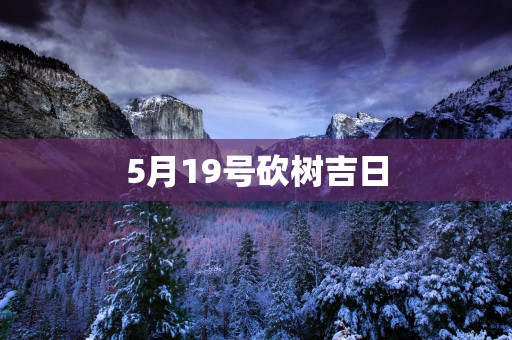 5月19号砍树吉日